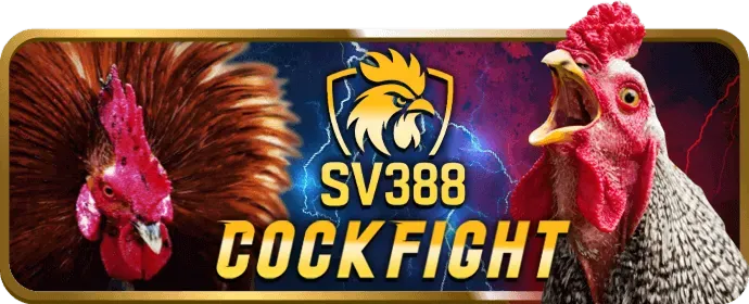 Tỷ lệ thắng cao momo bet