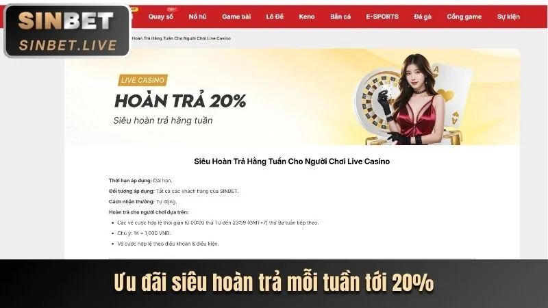 Các giá trị cốt lõi của momo bet